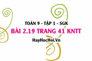 Bài 2.19 trang 41 Toán 9 tập 1 Kết nối tri thức